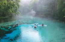 2 Hour Glass Bottom Guided Kayak Eco Tour in Gilchrist Blue 