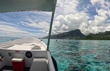 Half-Day Humpback Whales Encounter in Moorea