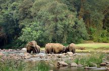 Private Half Day Anakulam Jeep Safari from Munnar