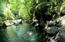 Advanced Canyoning Activity in a Miracle Lava Valley of Mt. Fuji