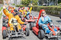 Shinjuku Go Karting Tour with Funny Costume