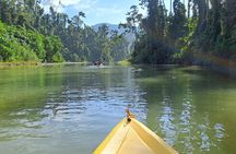 Private Puerto Princesa River Kayaking with Seaplane Transfer