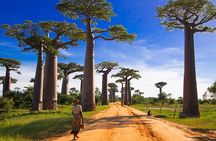15-Day Private Photography Tour in Madagascar
