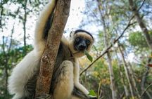 15-Day Private Photography Tour in Madagascar