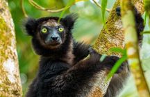15-Day Private Photography Tour in Madagascar