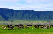 5-Day affordable Tanzania safari with extra activities
