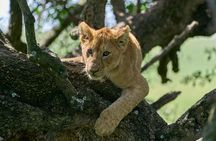 5-Day affordable Tanzania safari with extra activities
