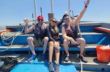 Jeju Hidden Gem Sea Boat Fishing Tour with Lunch