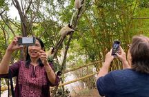 Antananarivo: Lemurs Park & City Tour