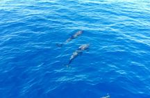 Tour to the islands of the La Maddalena Archipelago by sailing boat
