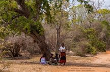Tsingy of Bemaraha, Kirindy Forest and Avenue of Baobab - 04 Days
