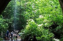 Private Cave + Cave + Waterfall Tour in Manaus