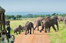 Dar es Salaam Day Trip to Mikumi National Park by Train