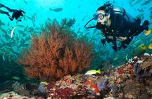 Try Scuba Diving in Kauai From a Boat for Non-Certified Divers