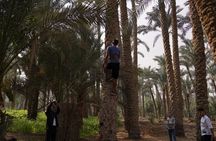 A day like a farmer in Dahsure countryside with locals