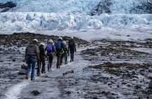 Glacier Hike from Skaftafell - Extra Small Group 