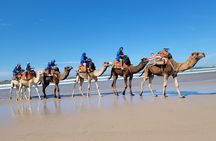 Essaouira 1-Hour Discovery Ride on a Camedary