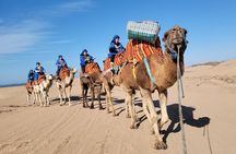 Essaouira 1-Hour Discovery Ride on a Camedary