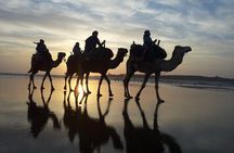 3 hours ride on camel at sunset