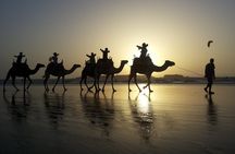 3 hours ride on camel at sunset