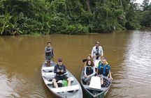 Package of 3 excursions in Tortuguero 