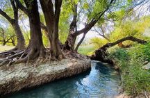 The best tour to Bustamante + Guide + transfer + tickets