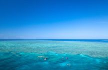 2-Day Snorkelling Experience - Great Barrier Reef Twin Share