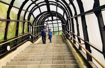 Hokkaido Asahiyama Zoo and Blue Pond Elf Terrace Day Trip