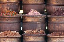 Echoes of History Journey Through Marrakesh Timeless Treasures