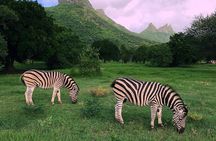 South Discovery With Wild Life Safari at Casela Park with Lunch