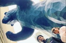 Explore Denver by E-bike Guided Tour