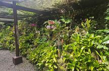 Private Tour: Hot spings & Sleeping Giant Garden hiking Adventure