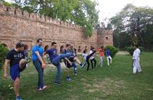 The Lodhi Walk - Art, History & Stories of Delhi