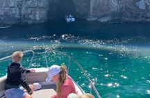Blue Cave Lady of the Rocks and Mamula Kotor Speed Boat Tour 3H