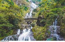 Private Sapa Motorbike Tour - Tea Hill