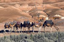 Sunset Camel Ride & Dinner with show in Agafay Desert 