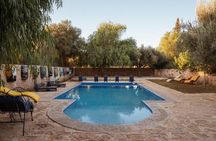 Private Vineyard Day from Marrakech Wine Tasting and City Tour
