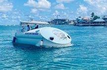 Oculus Glass Bottom Boat Tour 