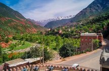 Private Full Day Tour from Marrakech to Ourika