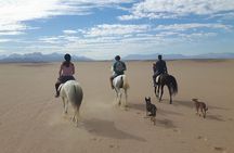 Seaside Adventure: Horse Or Camel Ride With Private Transfers