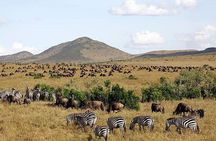 4-Days Masai Mara And lake Nakuru unforgettable Adventure