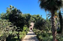 From Casablanca to Rabat, a day: the essentials