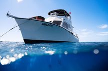 Try Scuba Diving in Kauai From a Boat for Non-Certified Divers