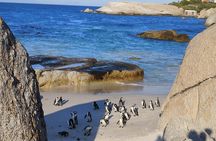 Full Day Cape of Good Hope and Boulders Beach Penguins Tour