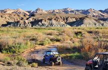 UTV Bentonite Hills, Temples, Moonscape, Factory Butte tour
