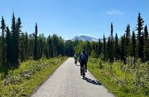 eBike Art and Trails Guided Tour of Anchorage