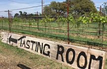 Fredericksburg Hill Country Aficionado Wine Tour from San Antonio