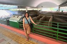 The Salvadorian Mayan Route: 3 Mayan Sites and Santa Ana Town