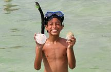 3 Hour Shared Shell Key Deck Boat Adventure