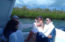 Starfish Encounter & Mangrove Exploration in Grand Cayman